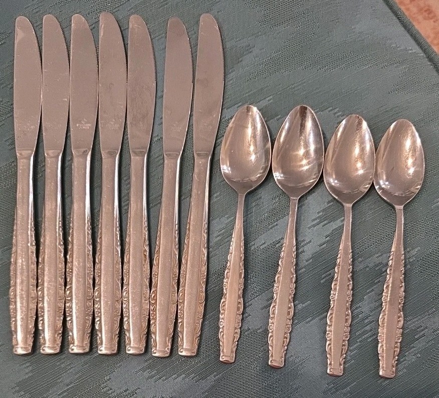SET OF 11 ONEIDA NORTHLAND LOVE STORY STAINLESS JAPAN teaspoons & Dinner knives