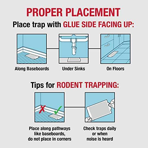 Catchmaster AA1170 72MAX Pest Trap, 72 Pack, White