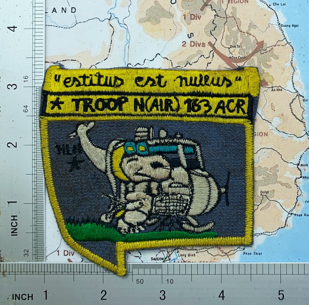 Patch , snoopy , troop N AIR 163 ACR patch , snoopy patch , t9-488