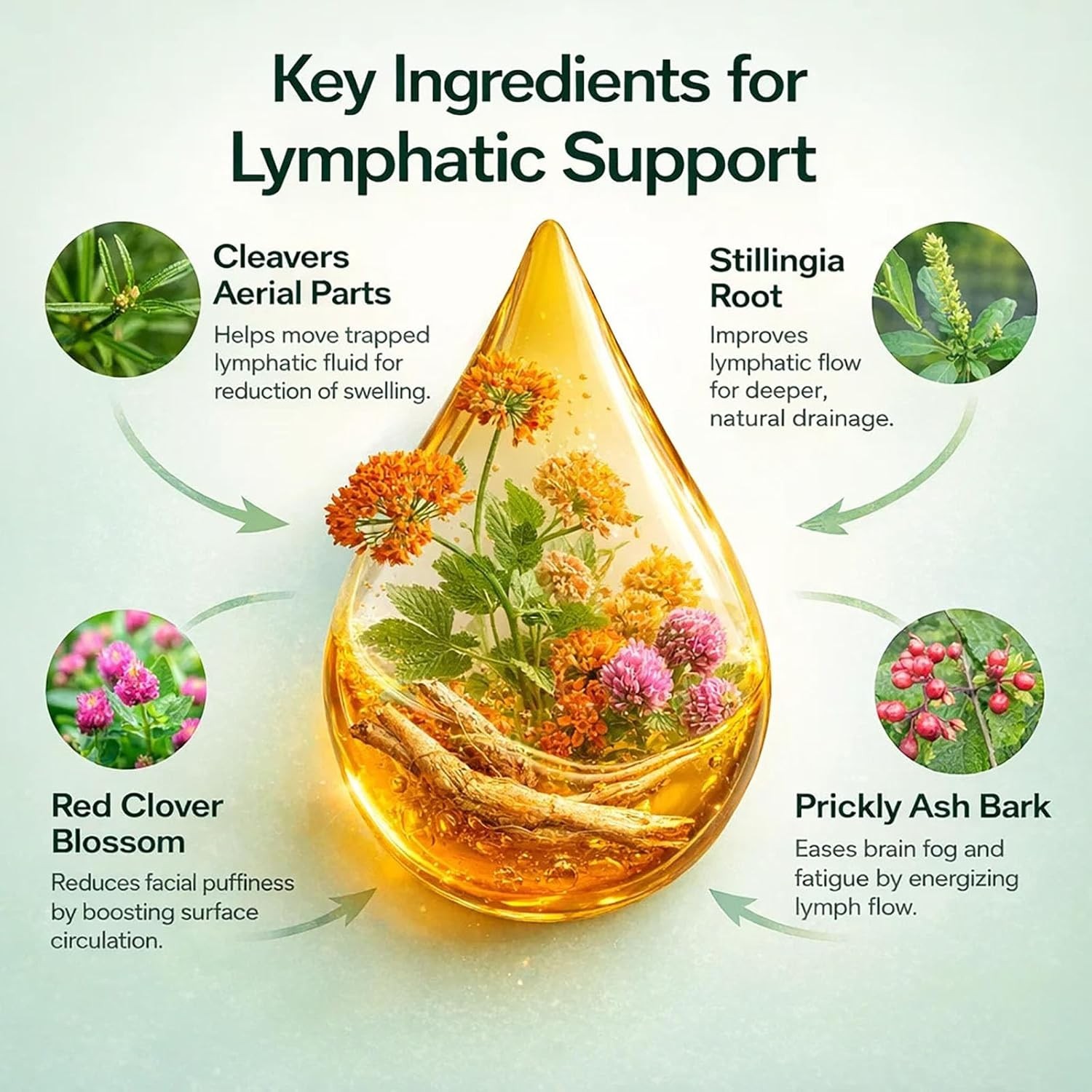 Organic Lymphatic Drainage Supplement ~20%OFF