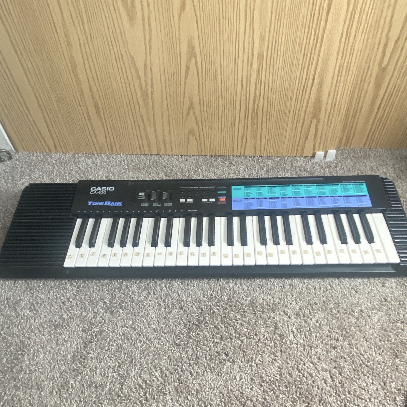 Casio CA-100 Tone Bank 49-Key Electronic Keyboard w/ Built-In Speaker Black