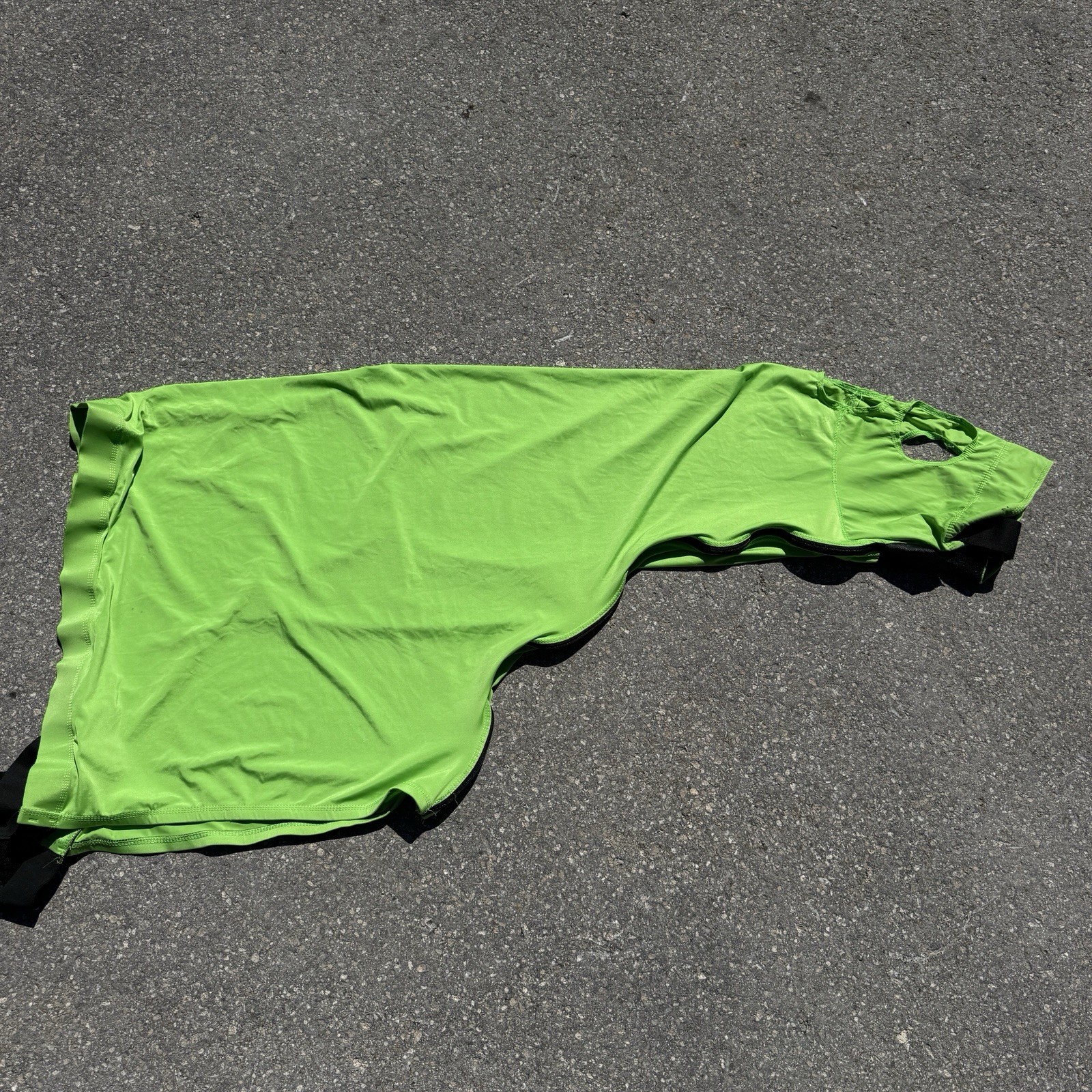 Large Green Horse Sleazy Hood