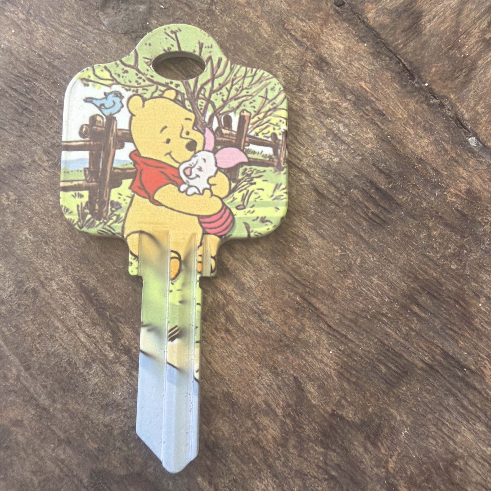Winnie The Pooh And Piglet “hug Me”SC1 Schlage Uncut House Key Blank
