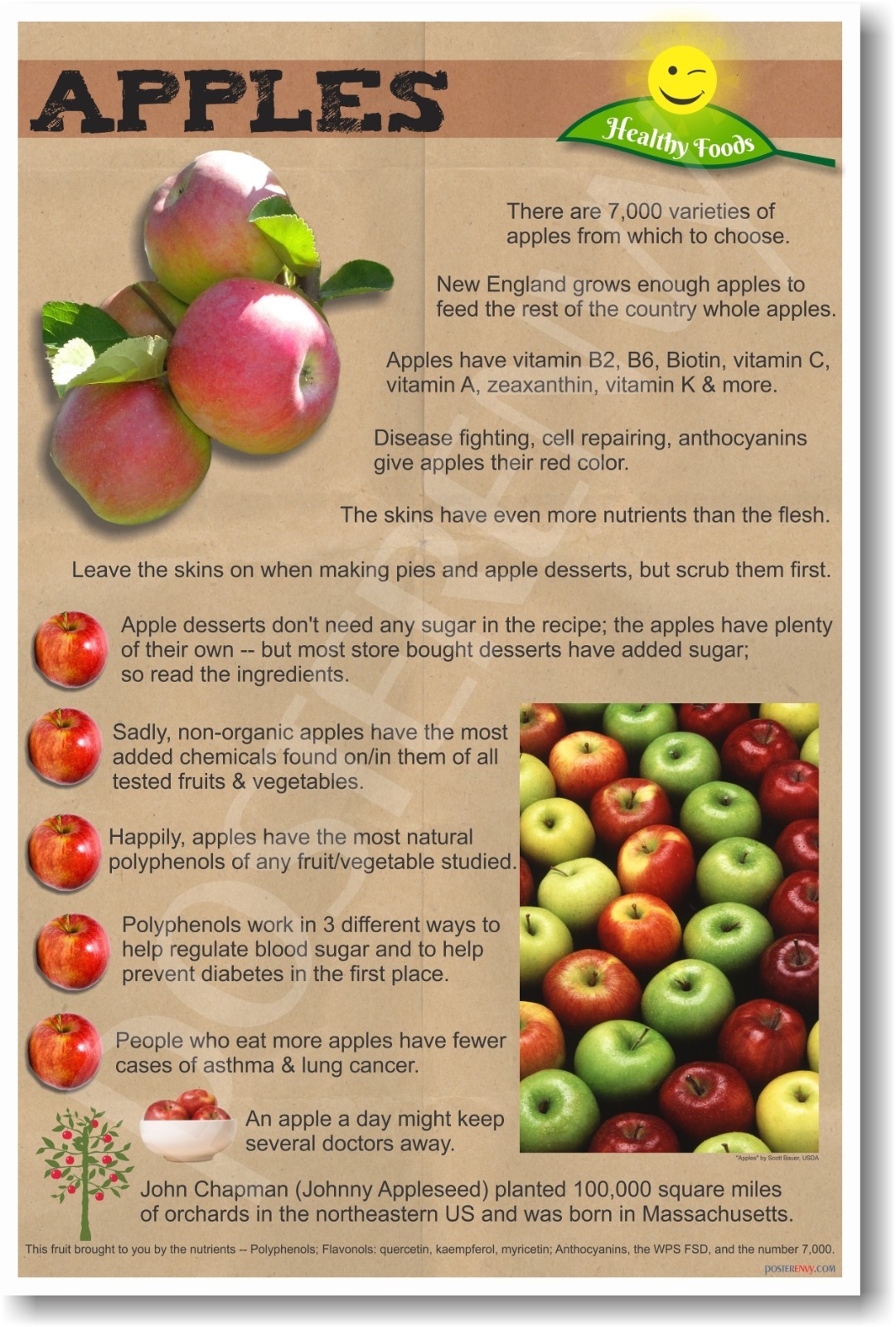 Healthy Foods - Apples - NEW Nutrition Healthy Foods Diet POSTER