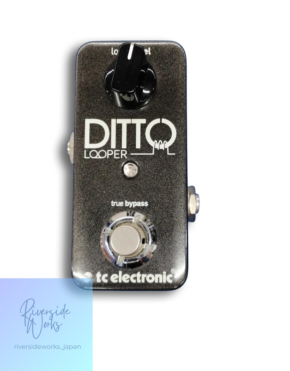 TC ELECTRONIC DITTO LOOPER Guitar Looping Pedal JP