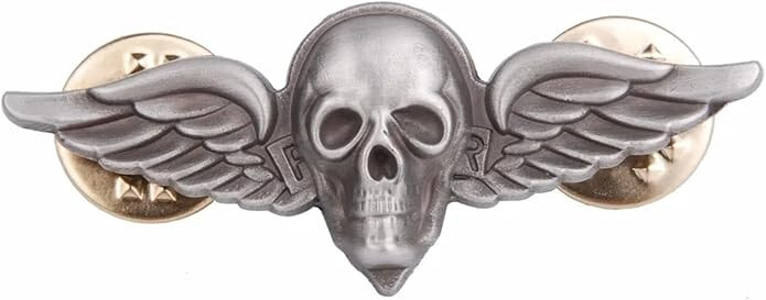 GRAY US AIRBORNE PARACHUTE WING METAL BADGE CAP PIN INSIGNIA 4.4CM