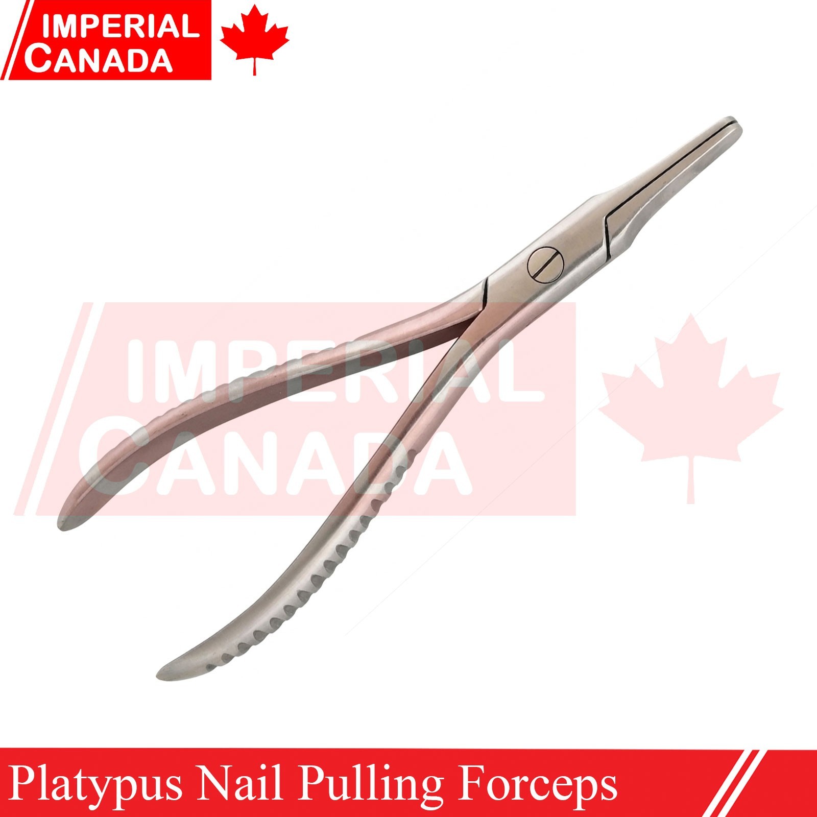 Platypus Nail Pulling Forceps Pliers 5.5" Surgical Instruments German Gr DN-2702