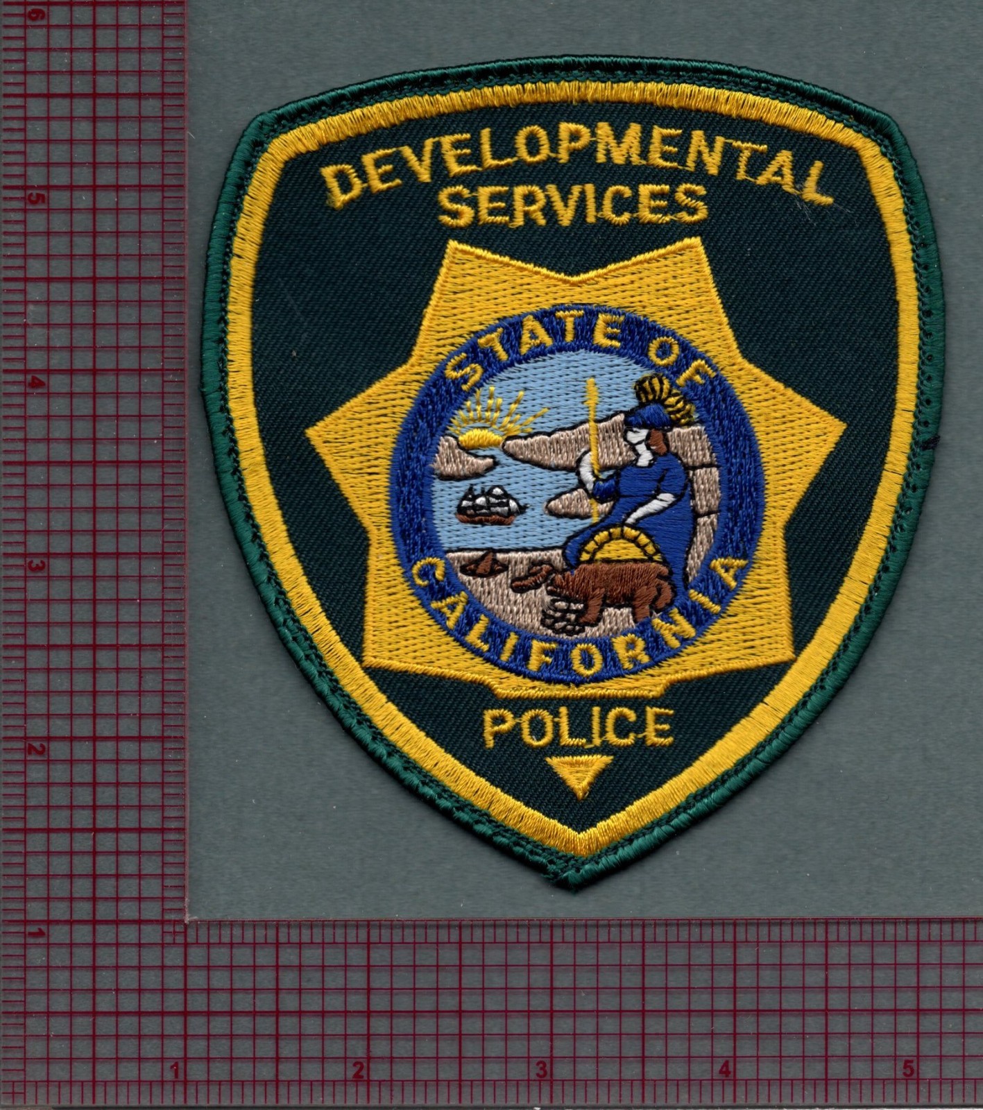 California Developmental Services Police Patch
