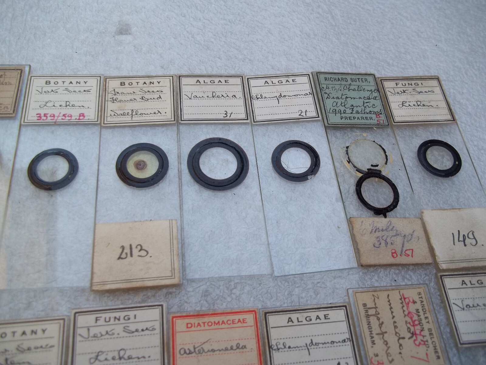 Vintage Glass Microscope Slides - As shown