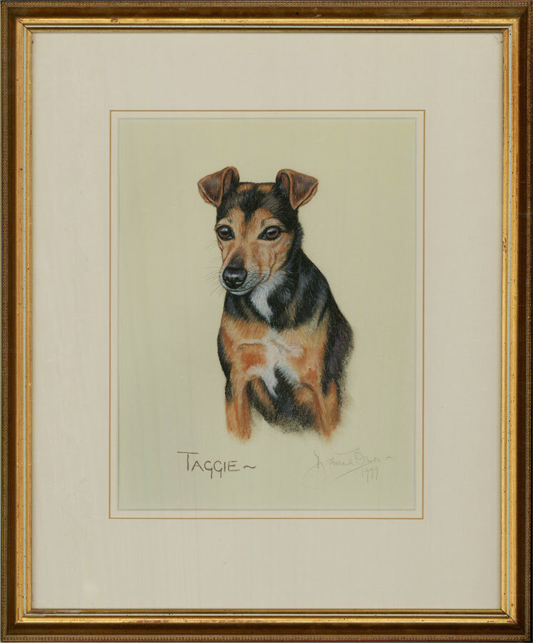 Davina Owen  - 1999 Pastel, Taggie the Terrier