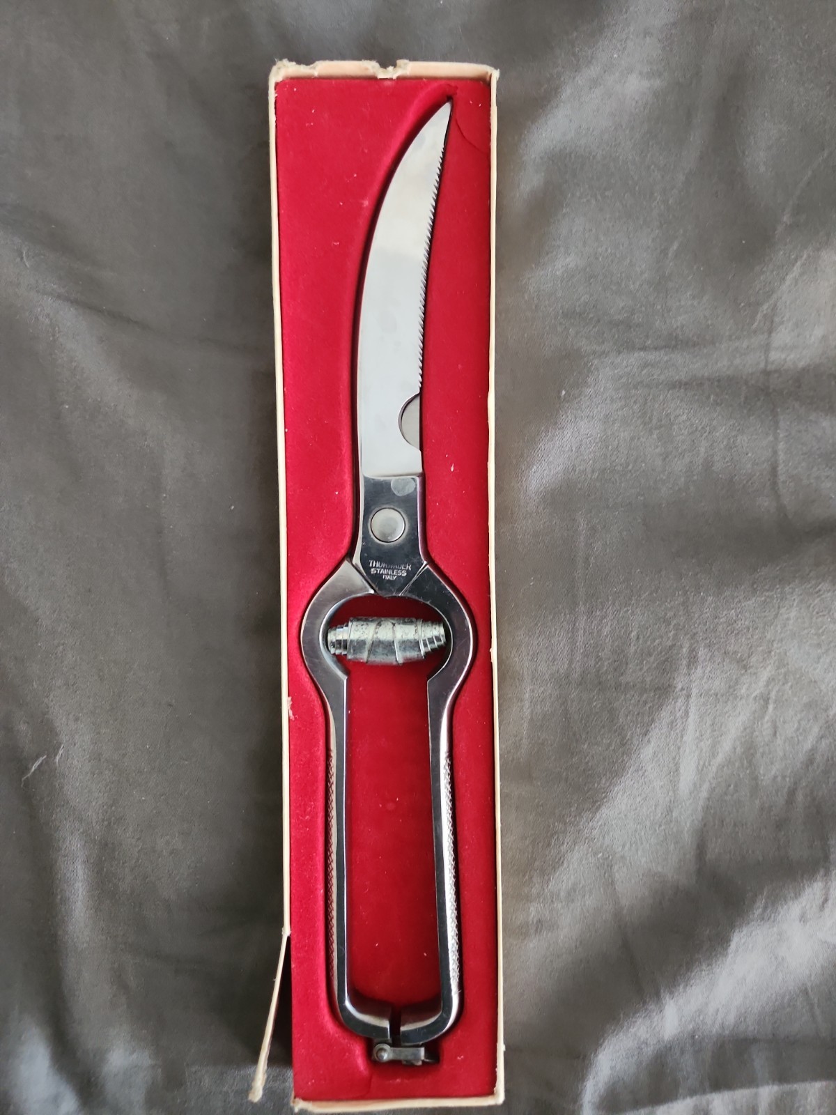 Thurnaure Stainless Scissors
