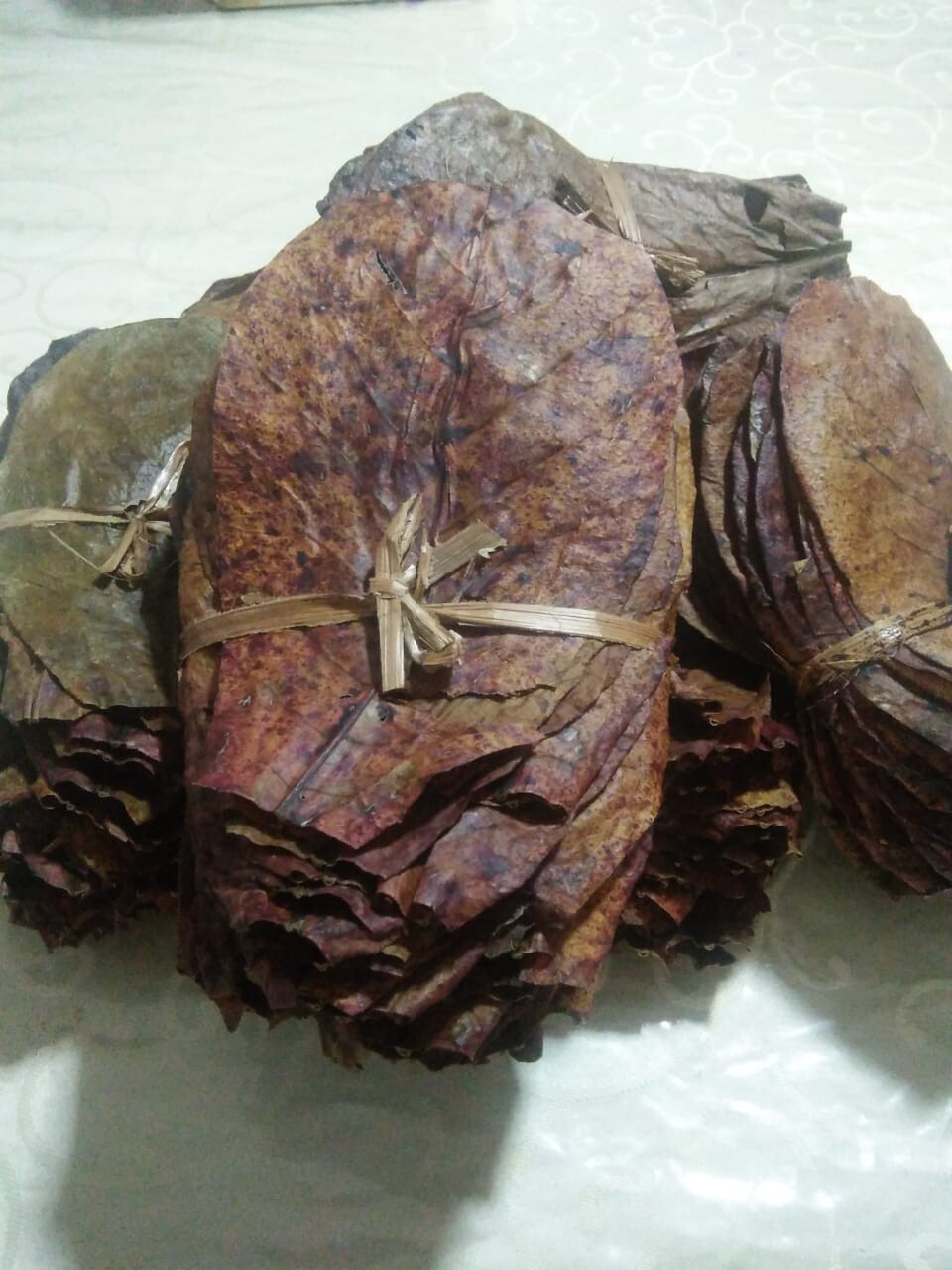 Shrimp Betta 100pcs Best Indian Almond Catappa Ketapang LeavesFish Aquarium Care