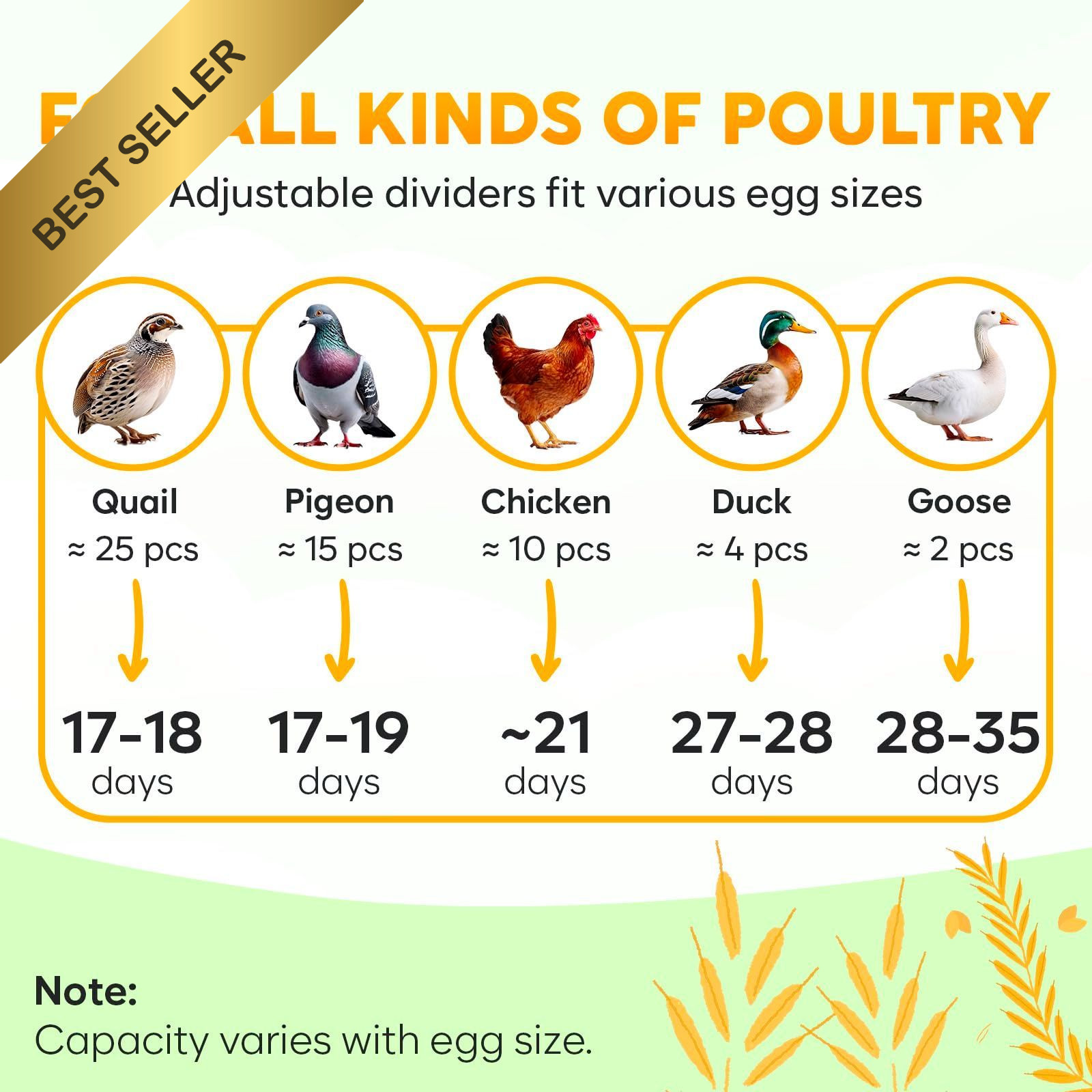 Okkobi M12 Egg Incubator Automatic Turner Humidity Control 12/24 Eggs White & Gr
