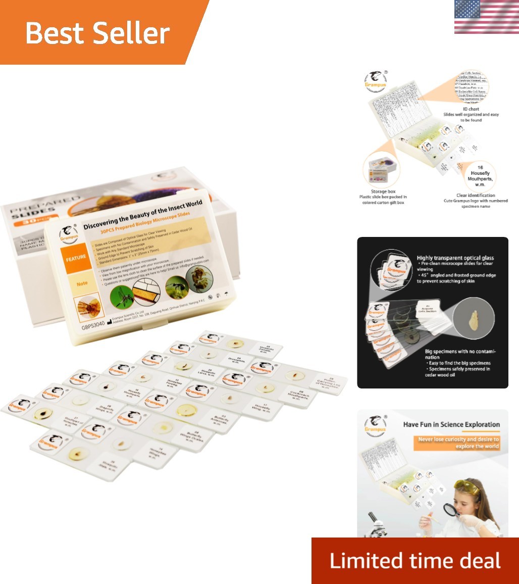 30pcs Optically Cleared Insect Microscope Slides - Safe for Kids and School Labs