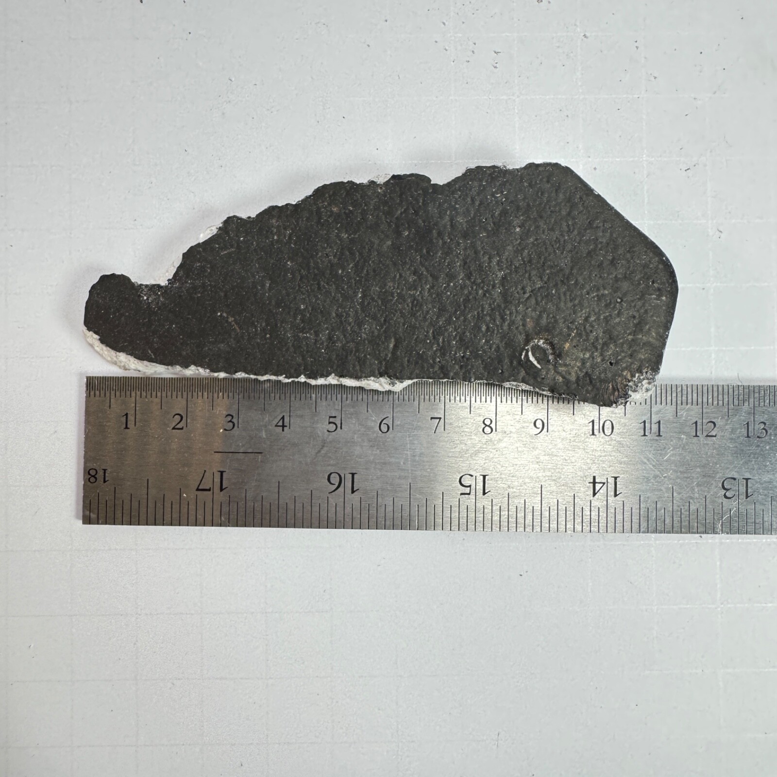 Space X Starship 34 - Recovered Heat Shield Tile - Flight 8
