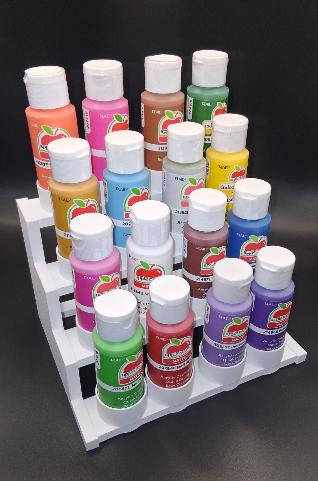 Craft Paint Storage Holder for 2 oz Bottles.  Holds 16 Bottles (Paint NOT Incl.)