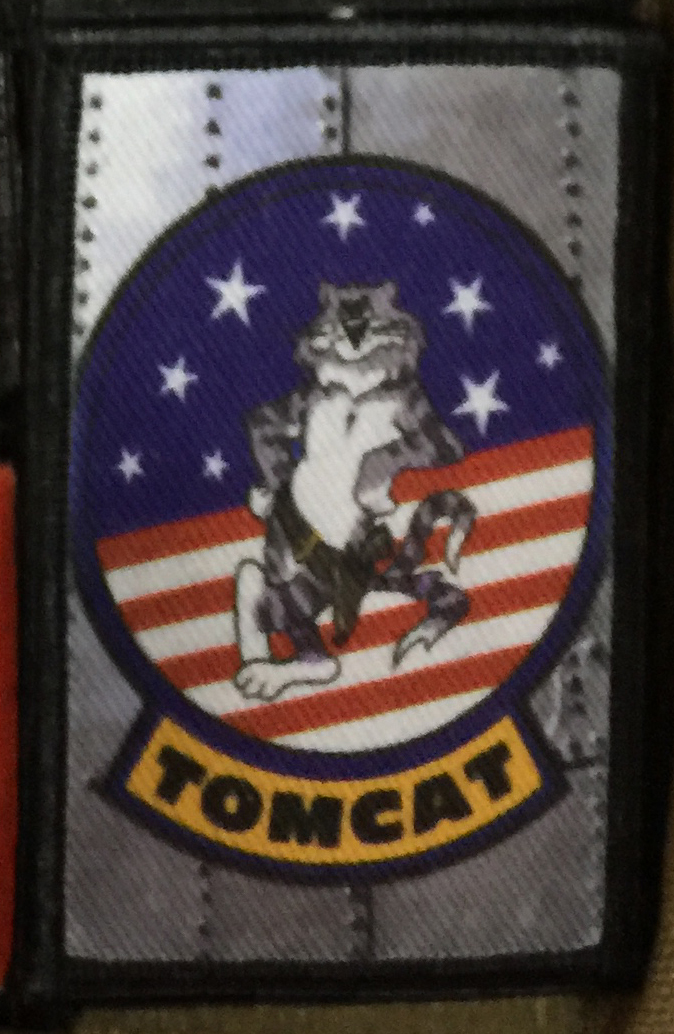 A10 Warthog Nose Art Morale Patch Warthog Fighter bomber