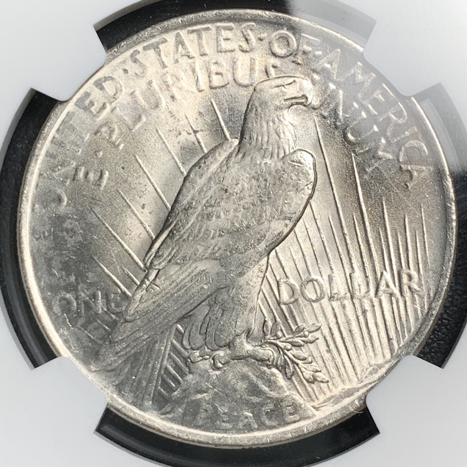 1922-P PEACE DOLLAR TOP 50 NGC MS61 VAM-7B DDR WING "TOP 50"