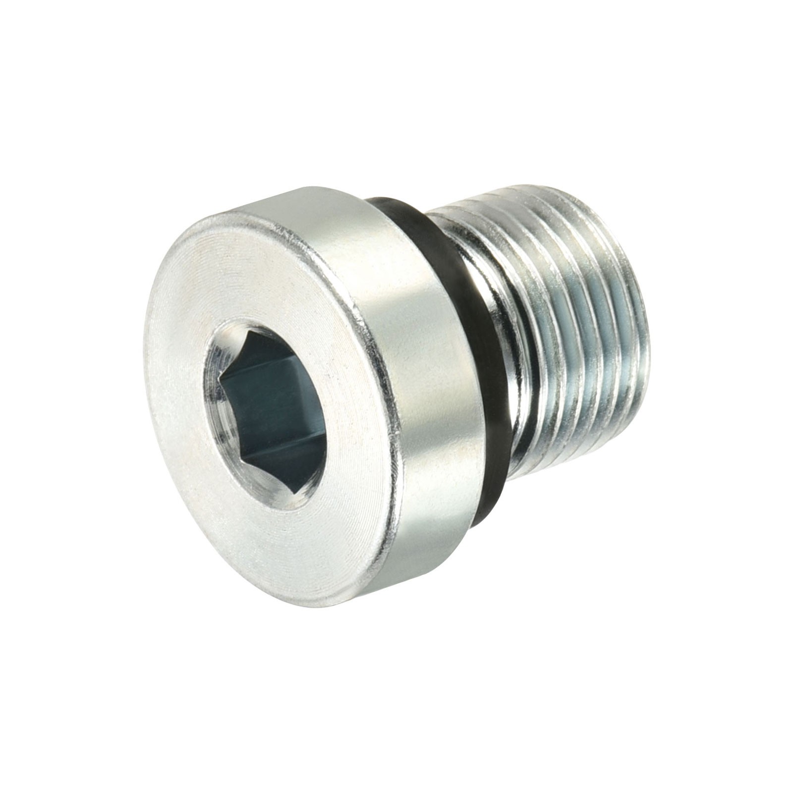 Pipe Fitting Hex Head Plug with Seal Ring, for Terminate Ends (M12x1)