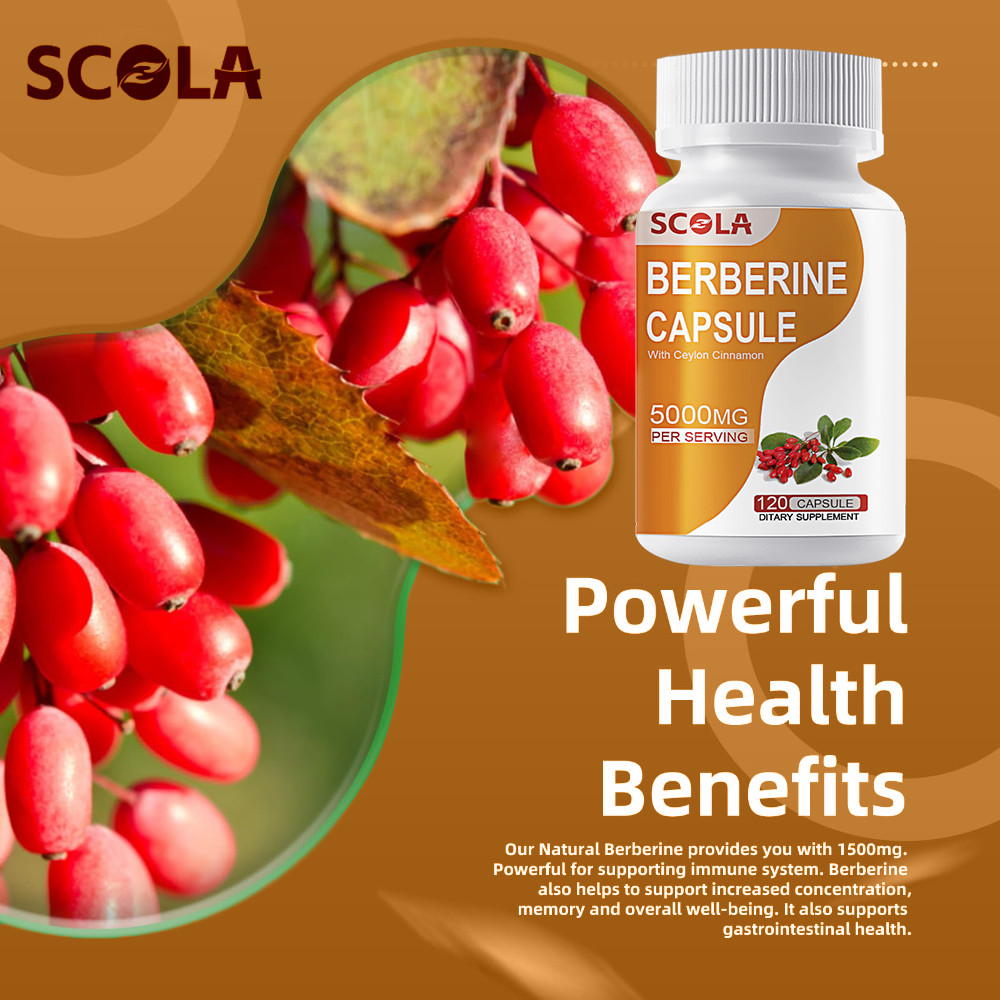 Berberine HCL Premium Extract Ceylon Cinnamon Antioxidant 5000mg 120 Capsules