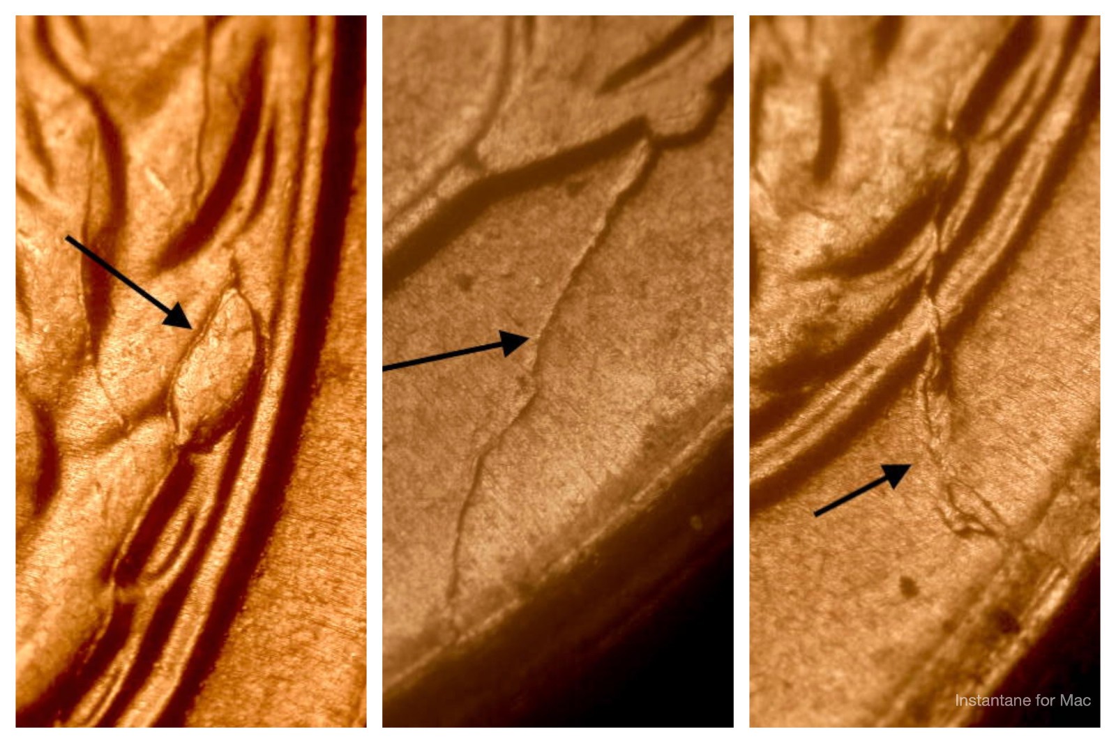3 Different 1955-S Ch/Gem BU Red Uncirculated Lincoln Cent Die Break Errors#13