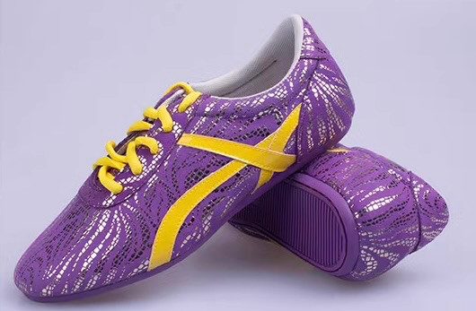 Chinese Kung Fu Tai Chi Wushu Martial Art Shoes, Size 38, purple, Ship from USA