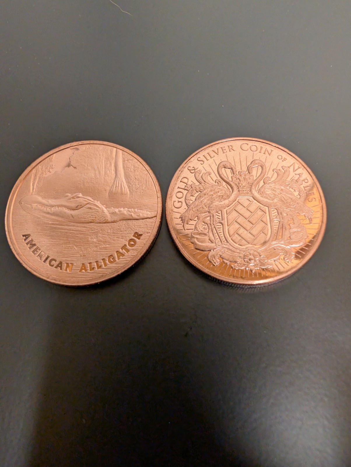American Alligator 1 oz Copper Round