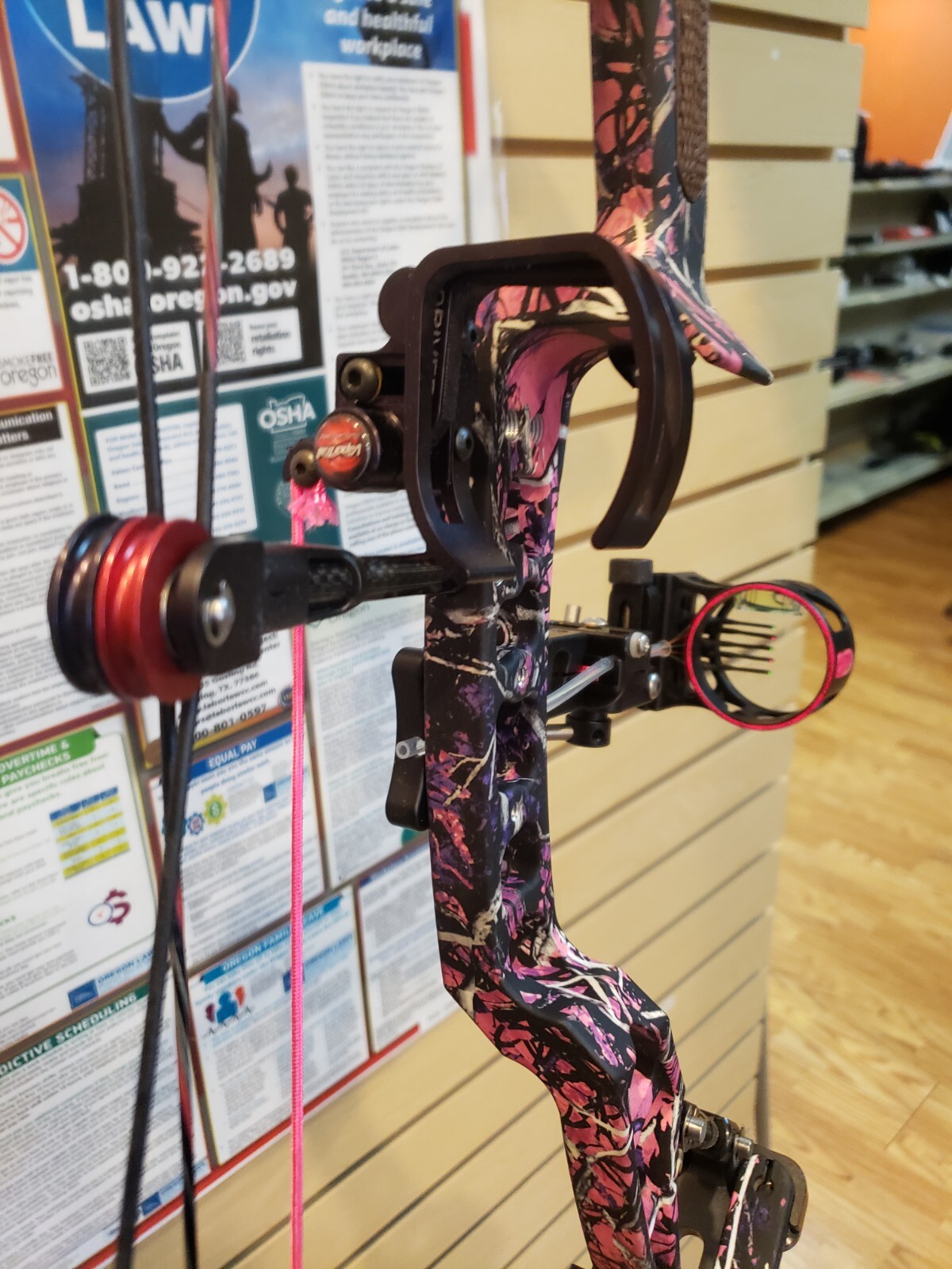 Winchester Compound Bow (pink) 60-70 lb