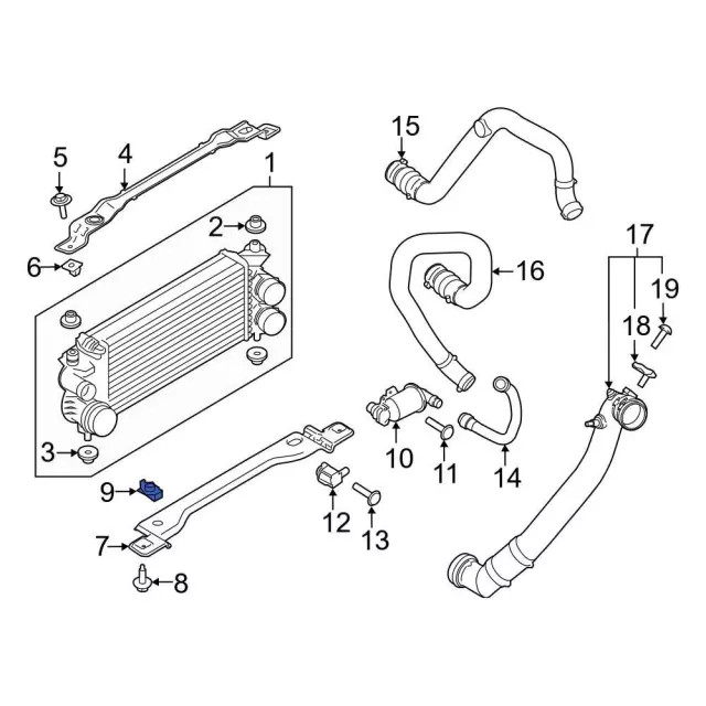 Genuine Ford Support Strap U-Nut W720256-S439