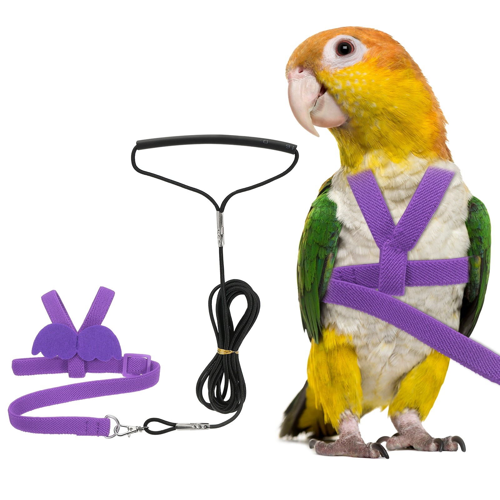 Bird Harness Leash Pet Parrot Bird Harness and Leash with Cute Wing Purple M