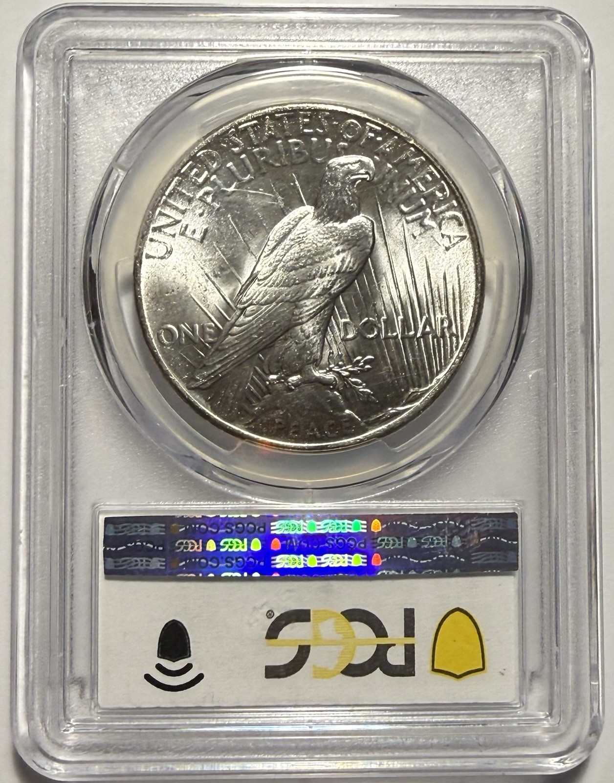 1925 Peace Dollar $1 PCGS MS65 ‼️BLAST WHITE GEM WITH LUSTER‼️