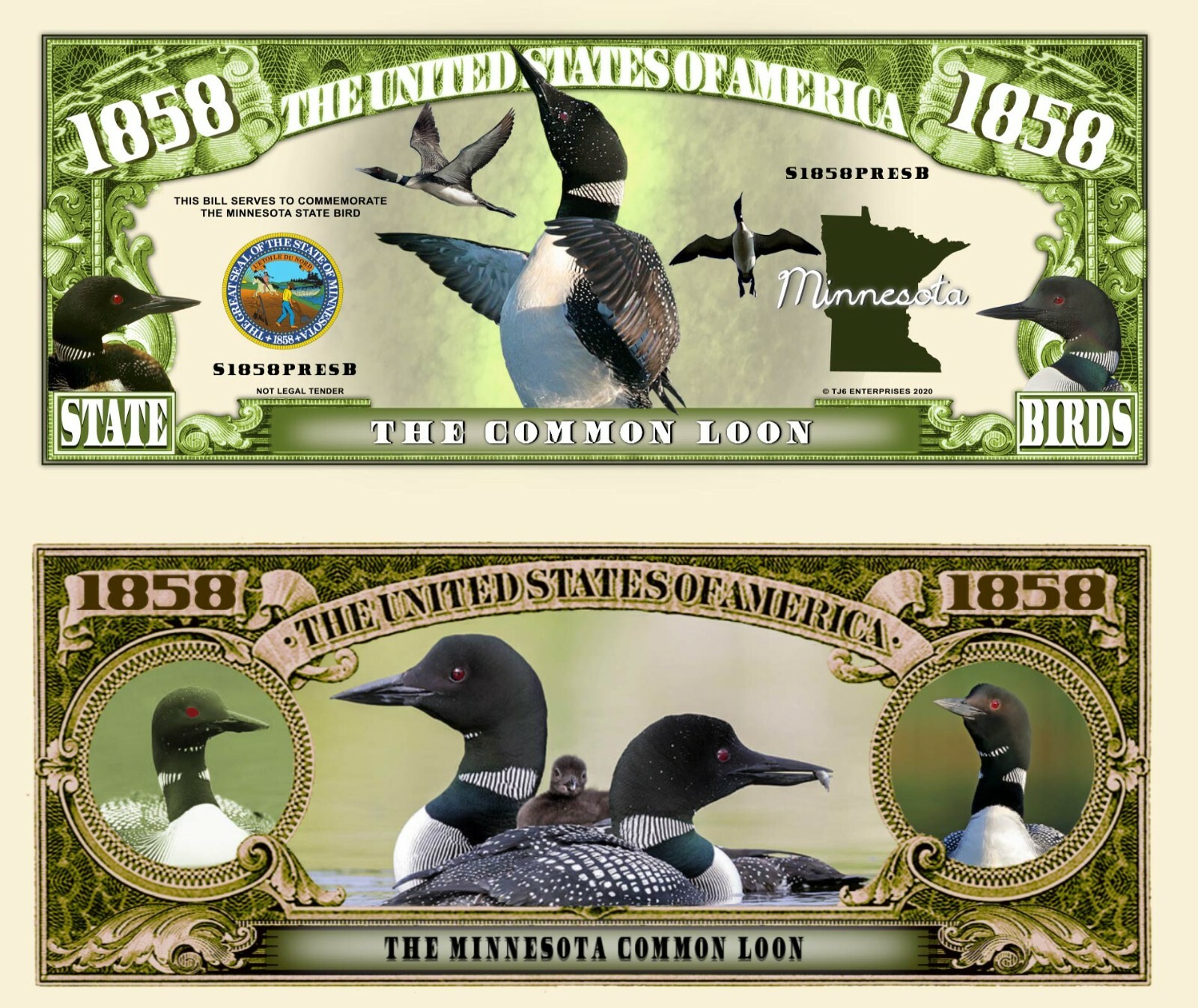Minnesota State Bird Common Loon Dollar Bill Play Funny Money Note + FREE SLEEVE
