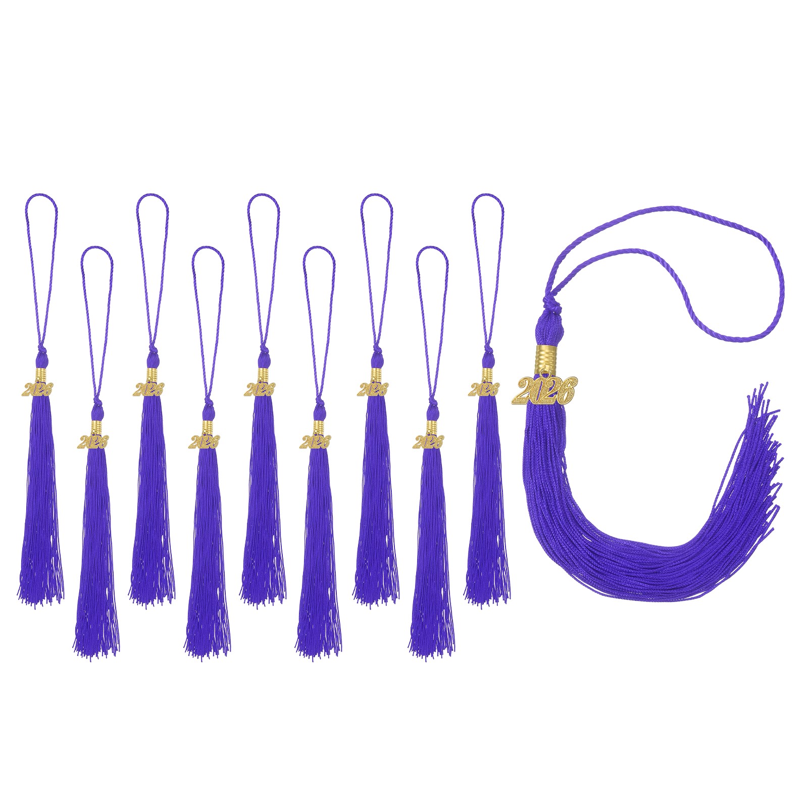 10pcs 2026 Tassel Graduation, Purple Graduation Cap Tassels with Charms
