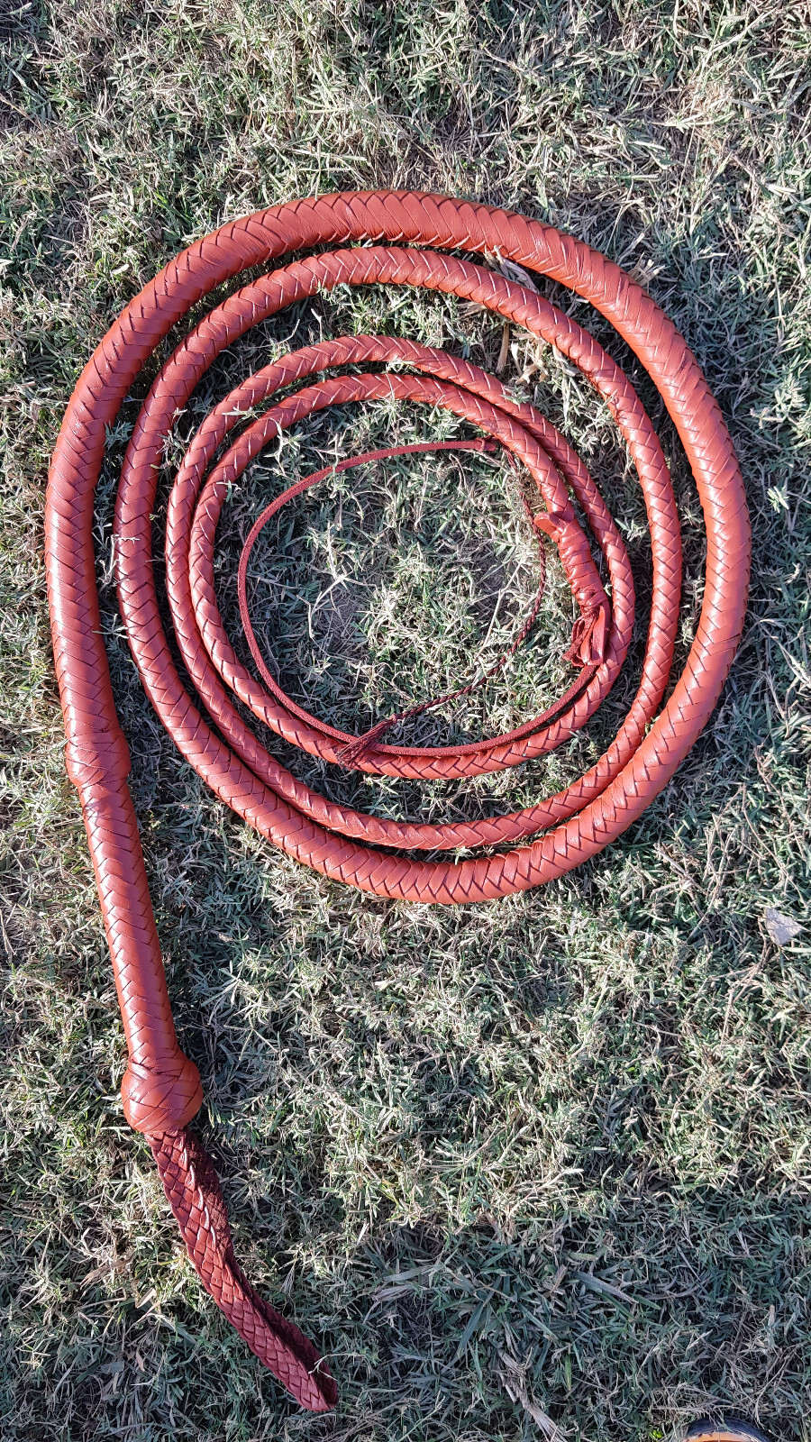 10 Feet whip 12 Plait top Grain Cowhide Leather Heavy Duty Bullwhips
