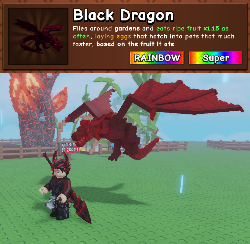 🐉 Rainbow Black Dragon 🐲 - GROW A GARDEN 2⚡FAST DELIVERY & Cheapest⚡