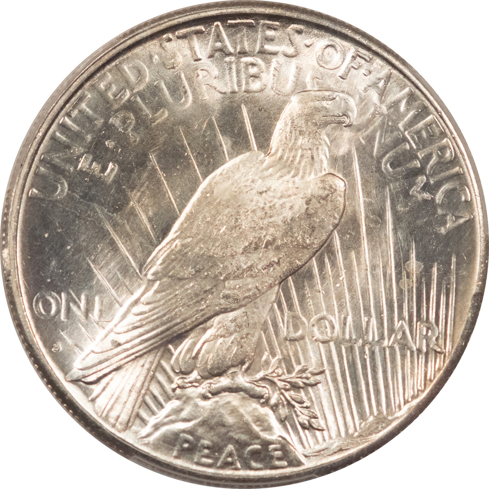 1925-S $1 PEACE DOLLAR - PCGS MS-62, BLAST WHITE!