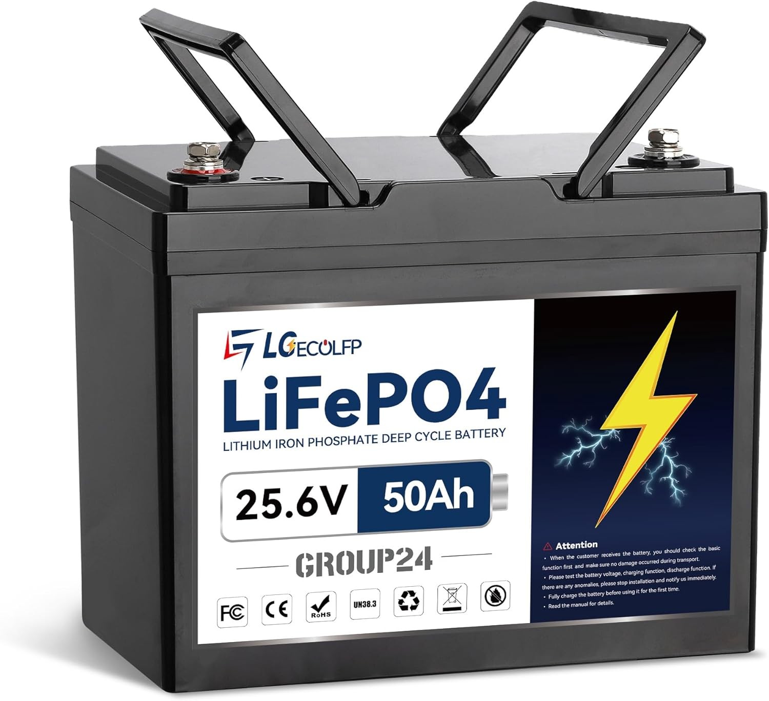 LGE 24V 50Ah LiFePO4 Lithium Battery for RV Marine Solar System with 50A BMS