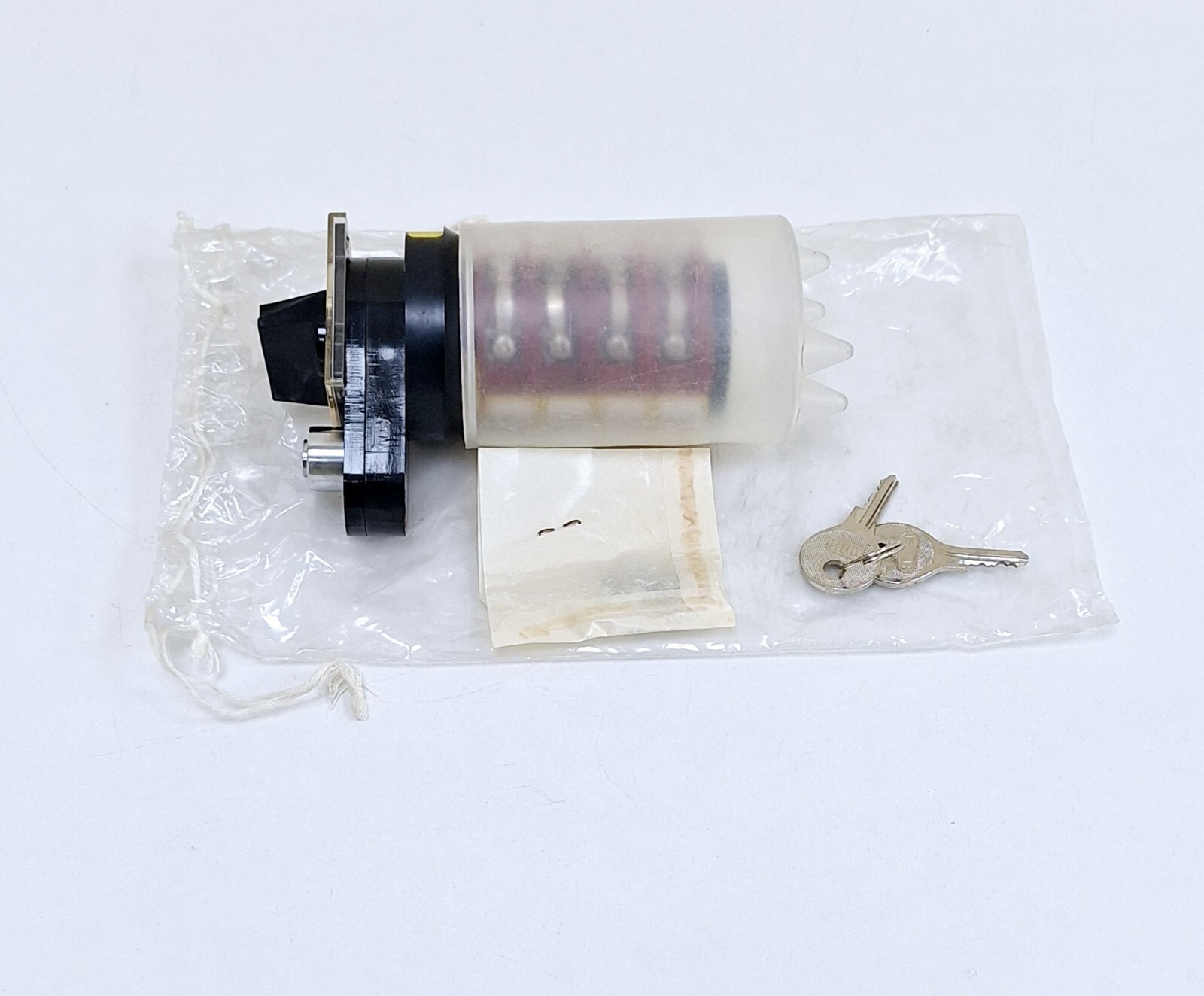 Elektra BVN10 / 114903 Rotary Cam Switch