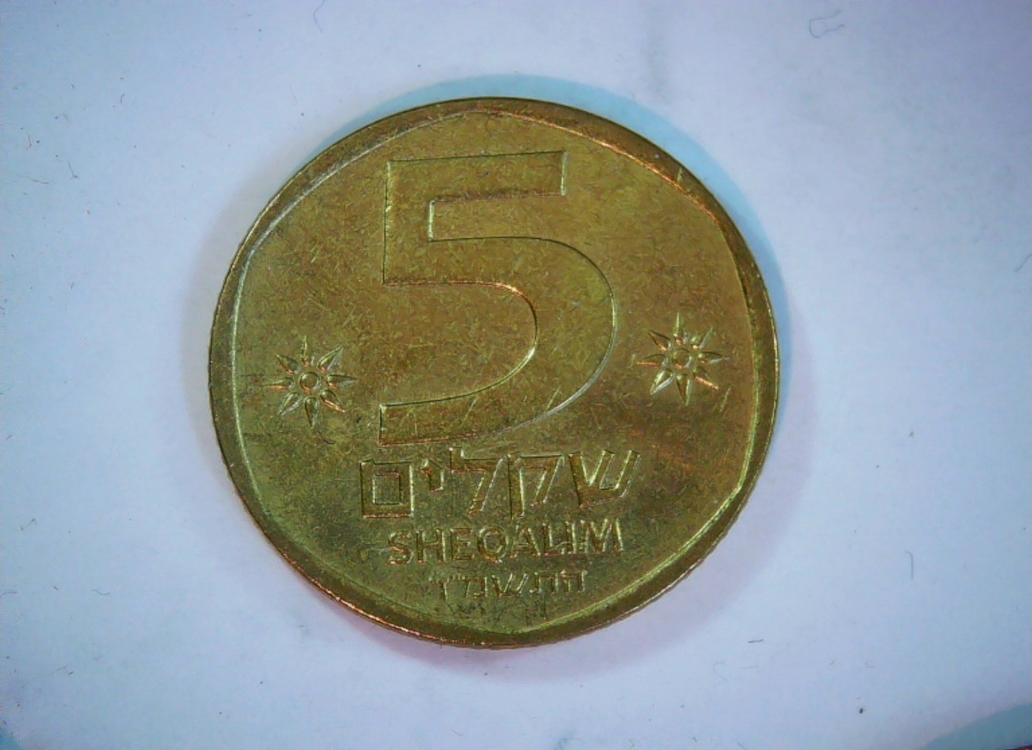 Israel 5 Sheqalim New Shekel (5 Sheqalim) - Lyre design Coin