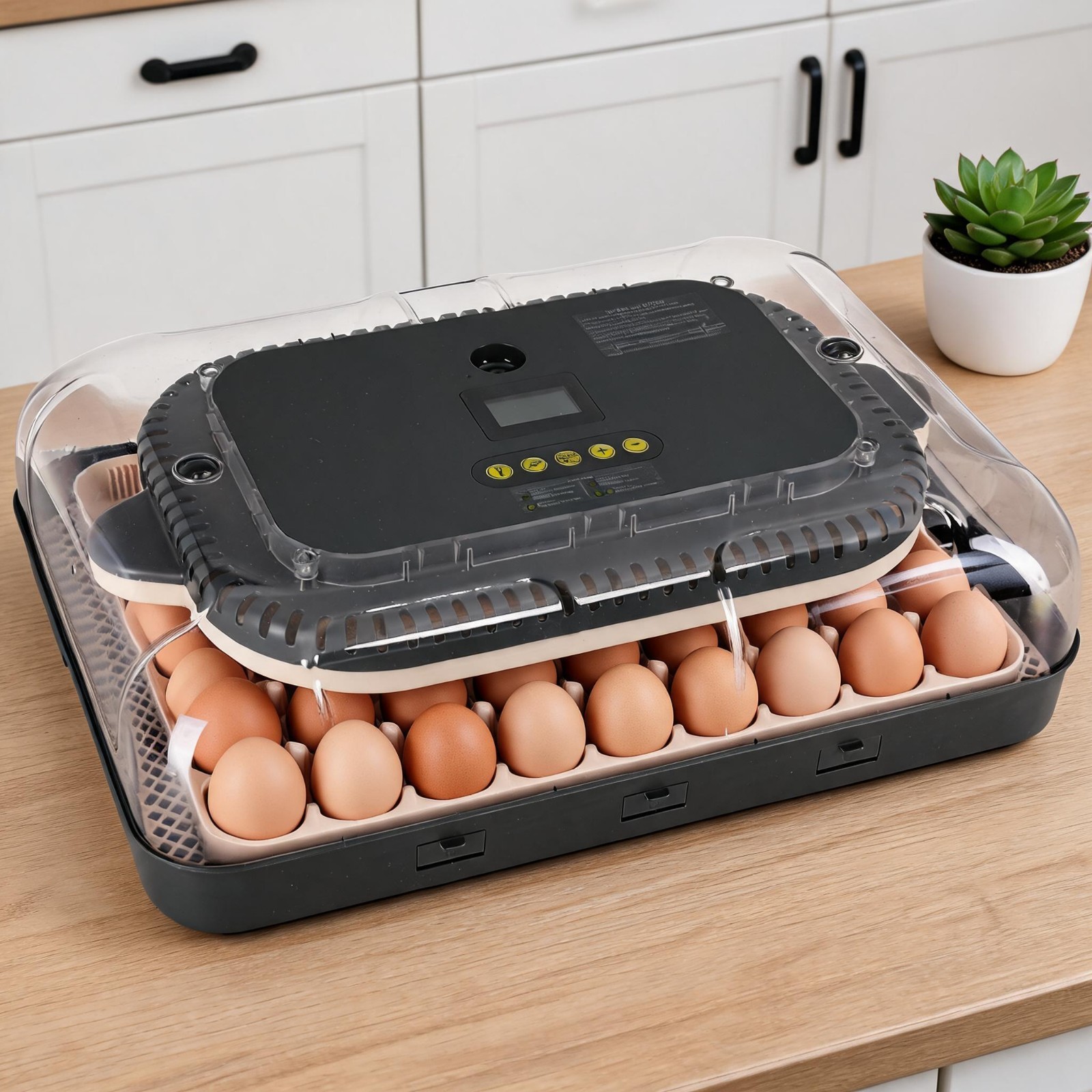 70 Eggs Auto Digital Incubator Temperature Control Turning Chicken Poultry Bird