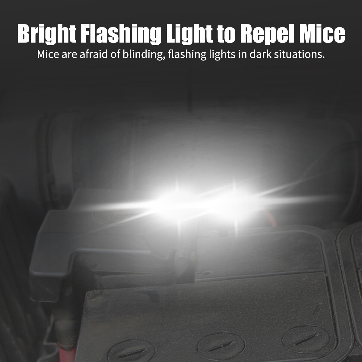 Car Ultrasonic Mouse Repeller for Rat Rodent Deterrent Wire Engine Pest Control