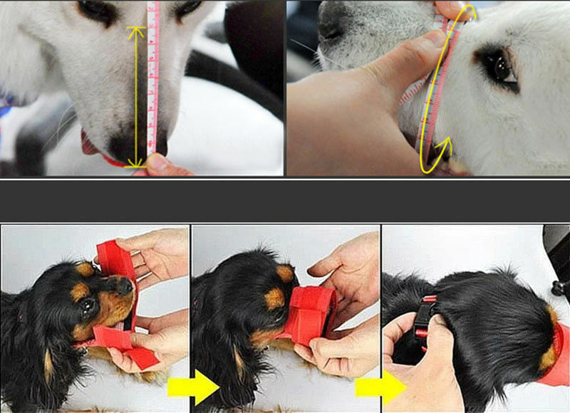 Pet Dog Mask Small & Large Mouth Muzzle Grooming Stop Bark Bite Chew Adjustable