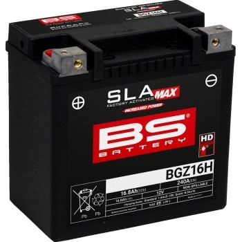 BS BATTERY SLA Max Factory-Activated AGM Maintenance-Free Batteries 300931