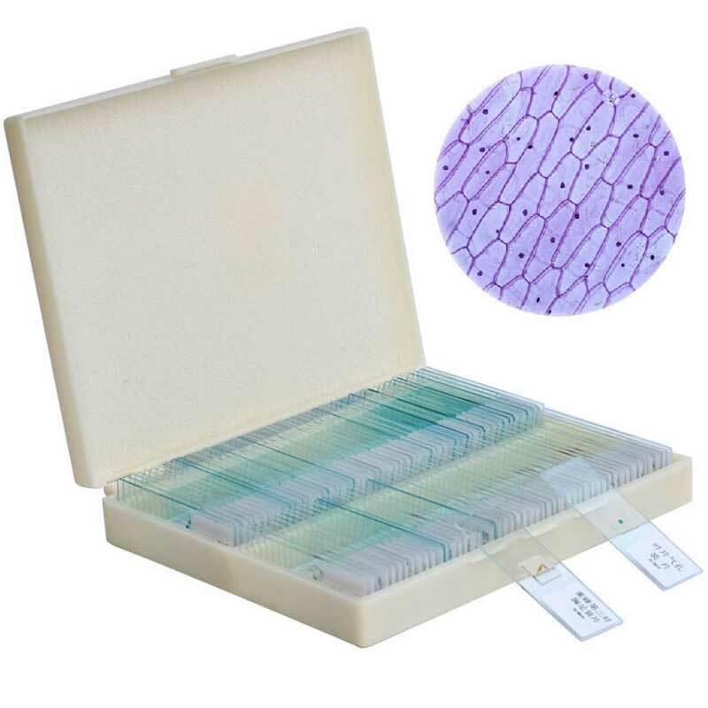 100PCS Educational Specimen Lab Biological Prepared Glass Microscope Slides