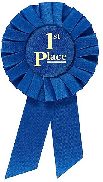 Rosette Premium Award Ribbons 1st 2nd 3rd 4th 5th Place Multipurpose Set