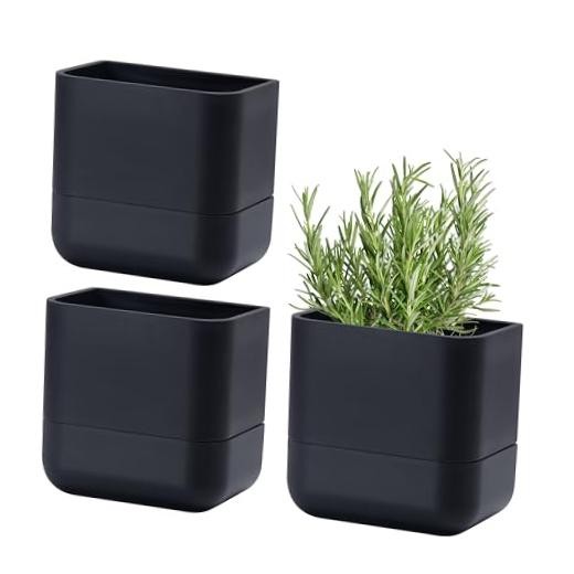 Phoenix Vine 6.5 Inch Wall Mounted Self-Watering Planter 6.5" (3 Pack) Black