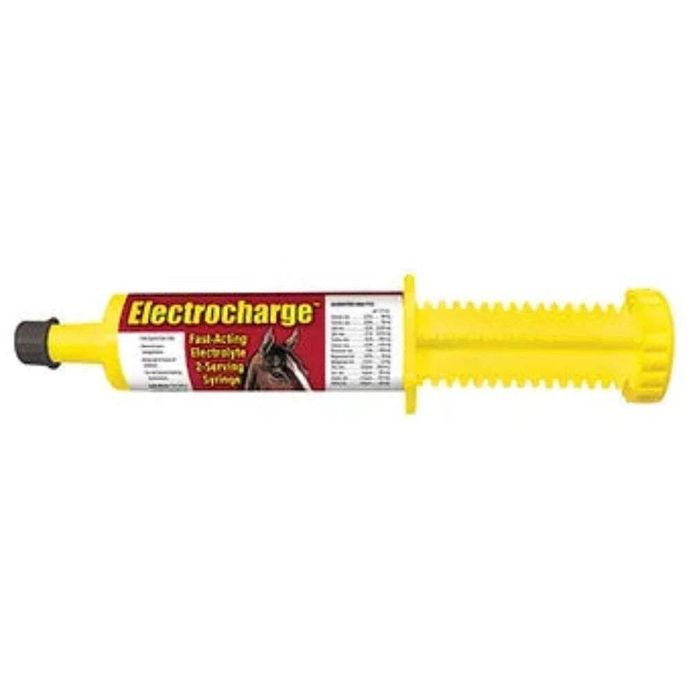 New! ELECTROCHARGE FOR HORSES PASTE 60 cc Restores horse's salts & minerals