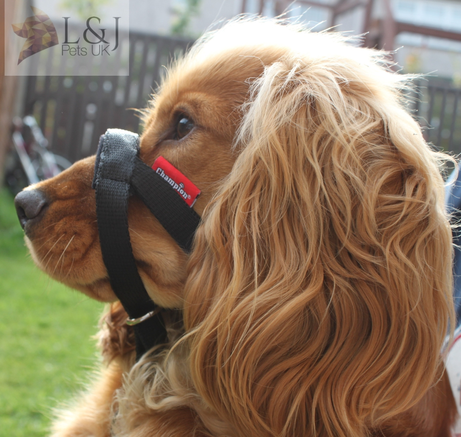Padded Head Collar Dog Training Halter Stops Dog Pulling Training Tool