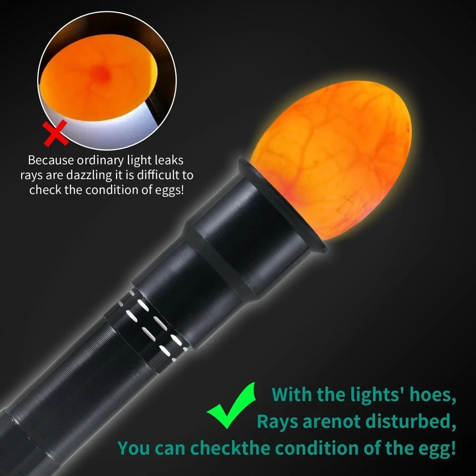 Egg Candler Light Tester High Intensity LED Egg Candling Tool Incubator Check