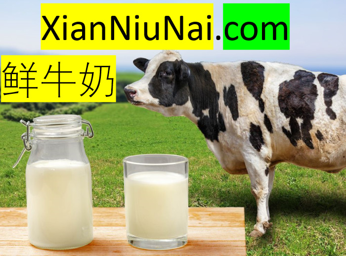 XianNiuNai.com / Premium Domain Name / Fresh Milk, Fresh Cow Milk / 鲜牛奶